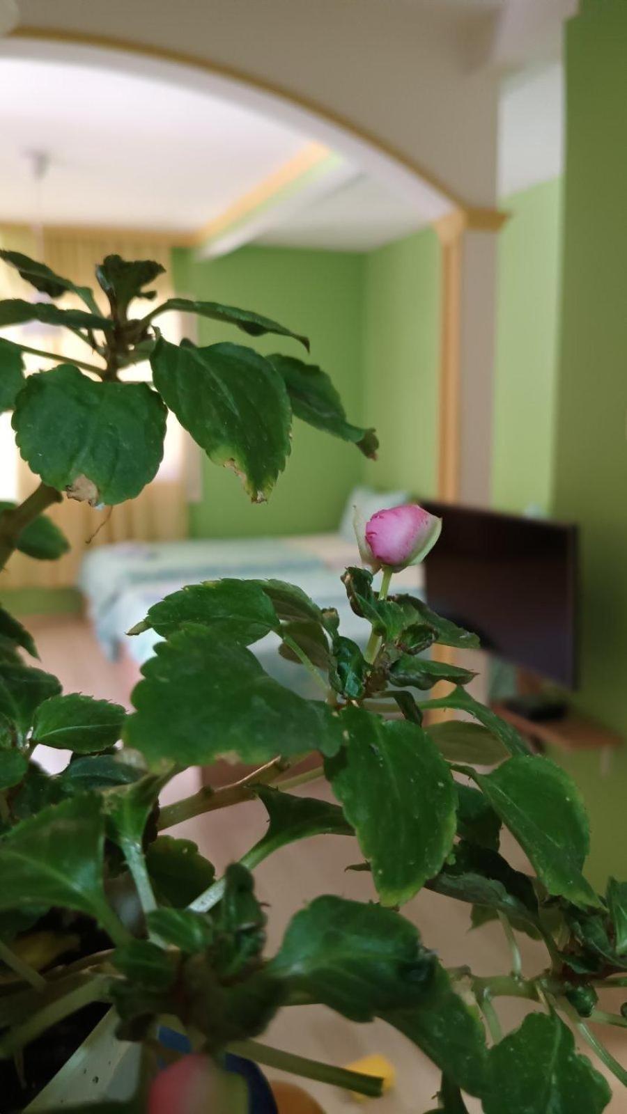 Villa Re3Ca Skopje Buitenkant foto